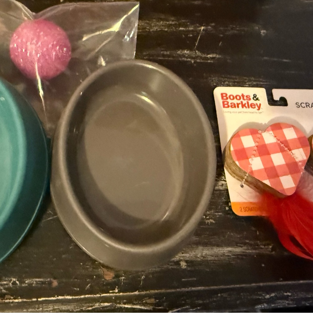 Teal and Gray Pet Bowls with cat toys